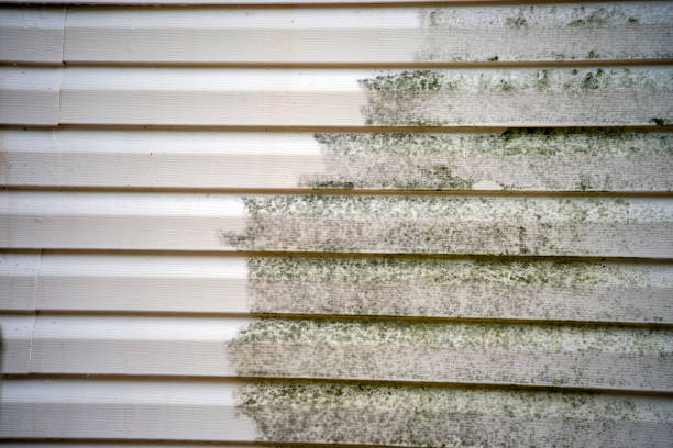 Best Carpet Removal and Disposal  in Heathrow, FL